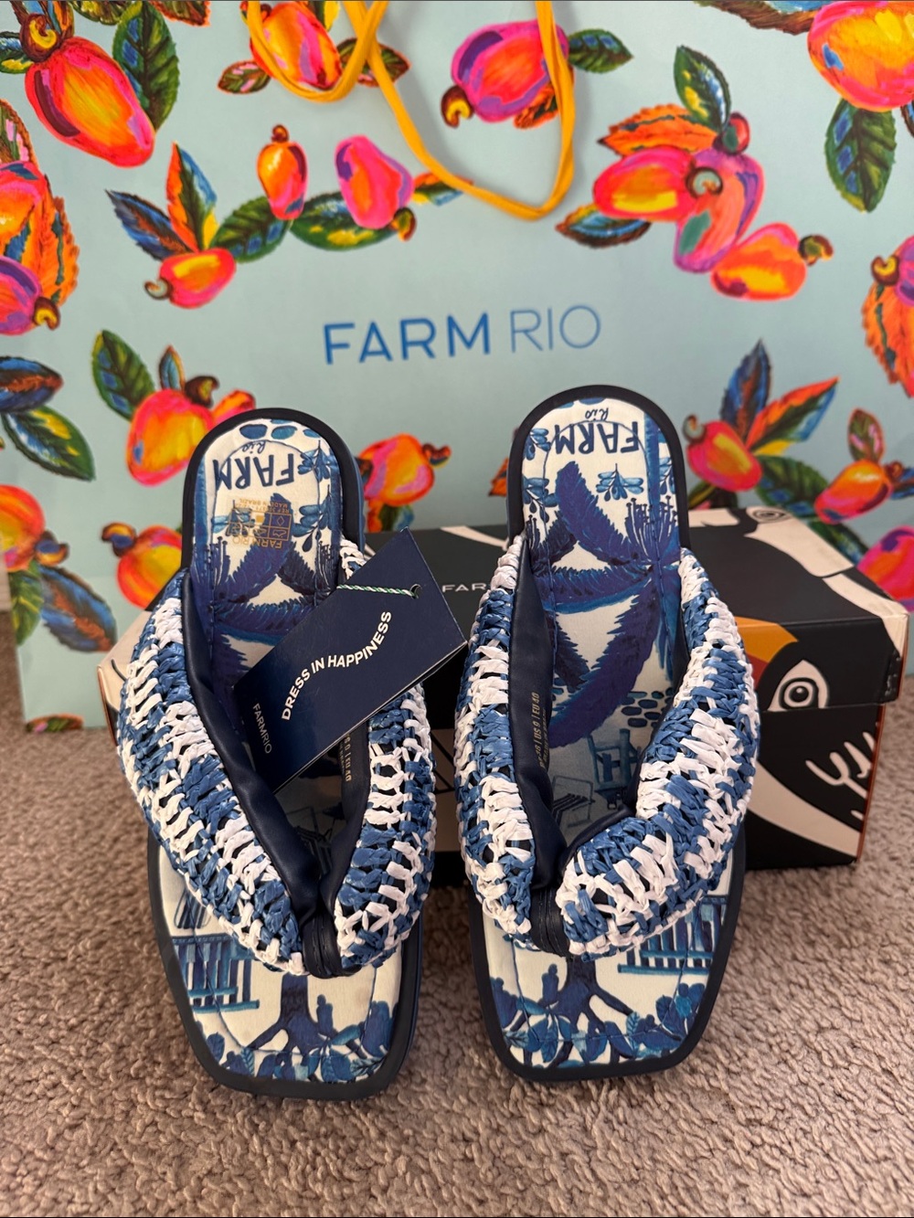 FARM Rio Navy & White Braided Platform Thong Sandals